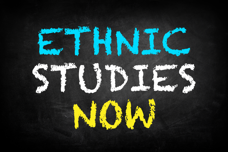 Ethnic studies group